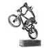 TROFEJ cyklistika